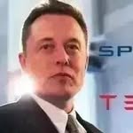 ELON REEVE MUSK's profile picture