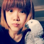 Yi Ling's profile picture