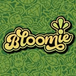 Bloomie - La boîte à bijoux nomade et compacte's profile picture